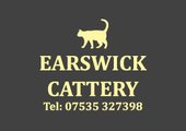 Earswick Cattery: A Cozy and Caring Retreat for Your Feline Companions