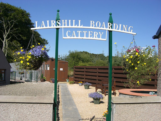 Lairshill Boarding Cattery: A Home Away From Home for Your Feline Friend