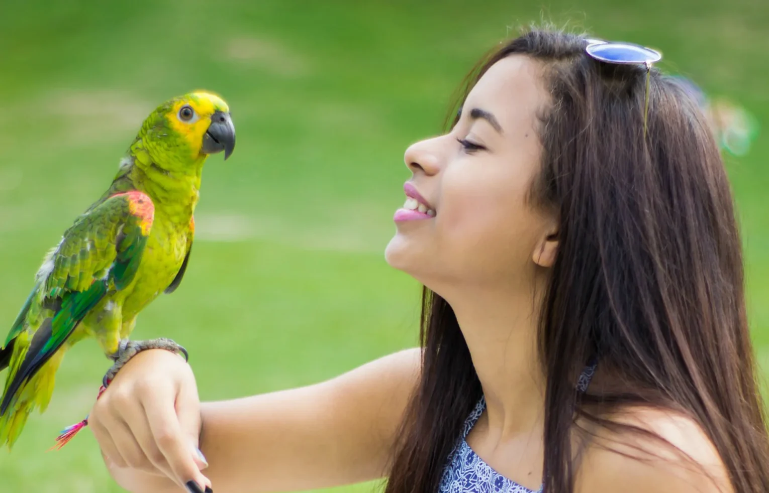 Keeping Your Parrot Fit and Healthy