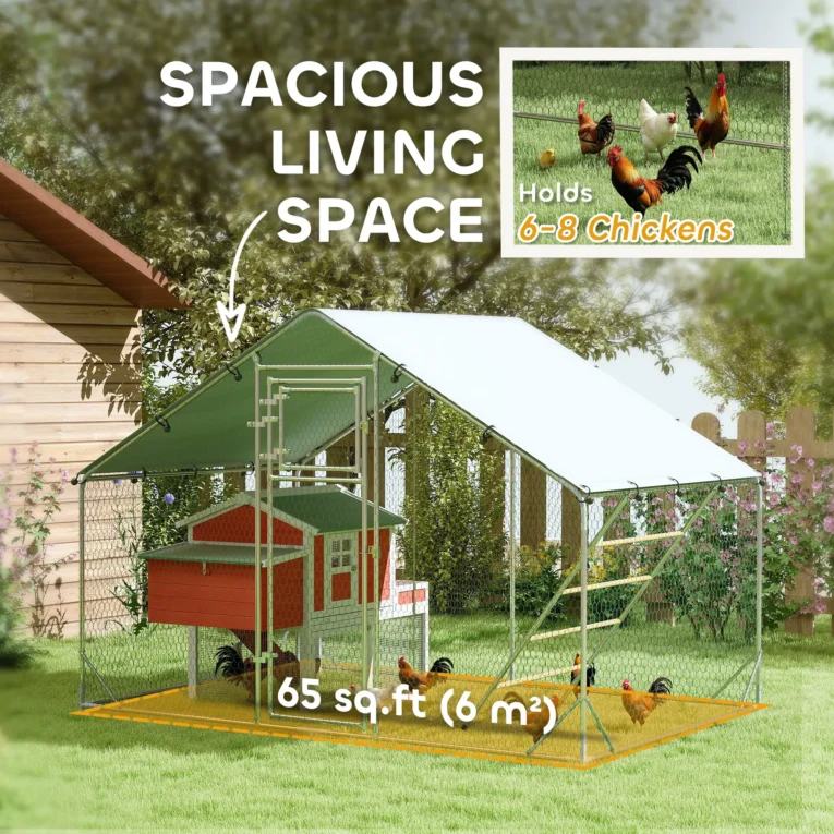 Walk-In Steel Chicken Run with Cover and Feeder – 3 × 2m
