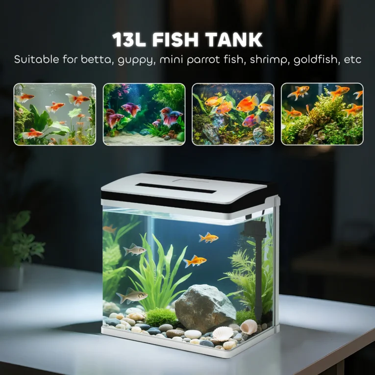13L Glass Aquarium with Filter and LED Light – White
