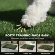 Dog Toilet Training Tray with Two Grass Mats – 76cm