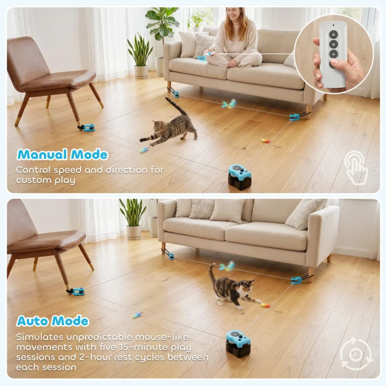 Remote-Control Cat Chase Toy with Adjustable Track – Black