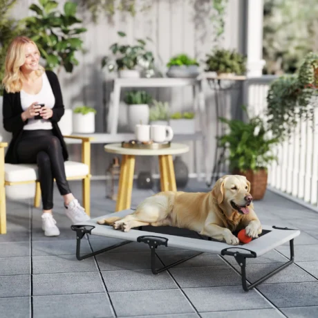 Folding Raised Dog Bed – Light Grey, 107cm