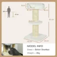 2-Tier Cat Tree with Basket Cushion Sisal Post – Cream White