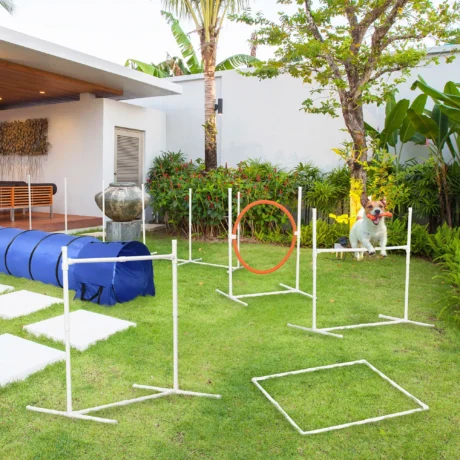Six-Piece Dog Agility Course with Three-Metre Tunnel and Carry Bag &ndash; detail 2