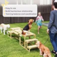 Three-Piece Wooden Dog Agility Set with Bridge and Steps