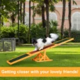 Wooden Dog Agility Seesaw – Natural, Brown and Green