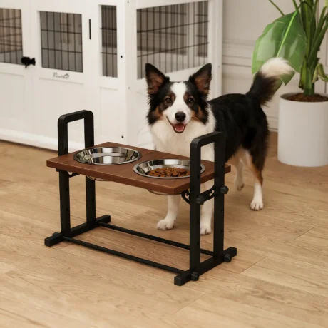 Adjustable Double Dog Bowl Stand with Tilting Top – Brown
