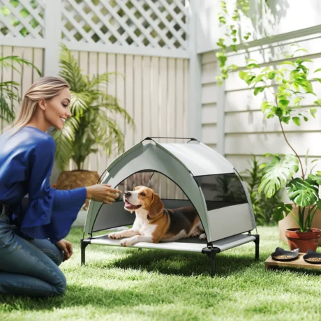 Compact Raised Dog Bed with Canopy and Carry Bag – Grey, 76cm