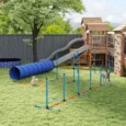 Eight-Piece Dog Agility Set with Tunnel, Weave Poles and Jumps