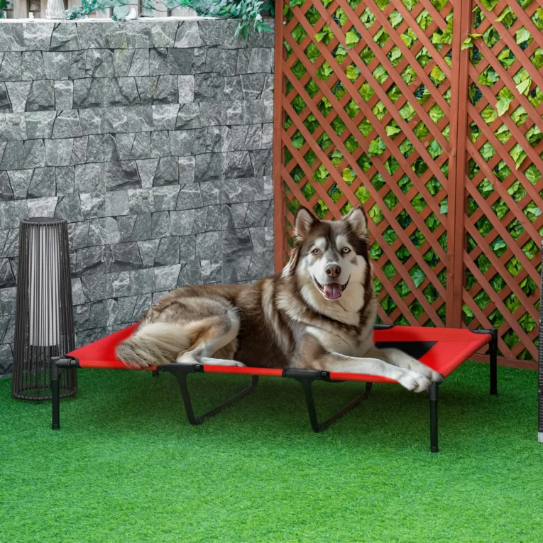 Elevated Dog Bed XX Large 122x92cm – Red