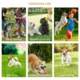Dog Agility Course with Tunnel, Jump Ring and Weave Poles – Yellow