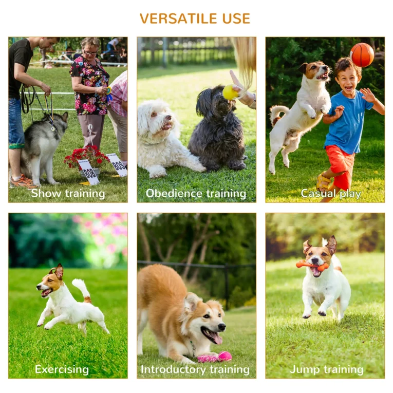 Dog Agility Course with Tunnel, Jump Ring and Weave Poles – Yellow