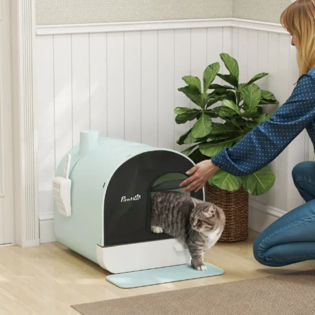 Covered Cat Litter Box with Filter and Scoop – Green