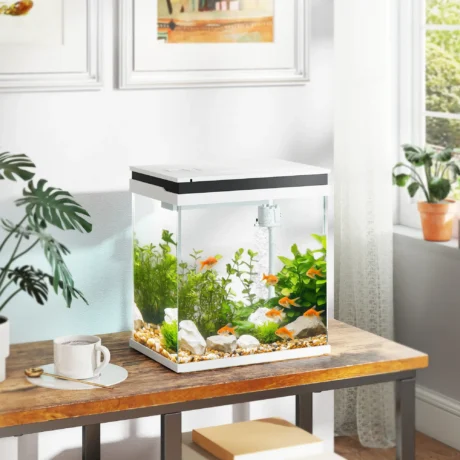 Compact Glass Aquarium with Pump and LED Lighting – White, 14L