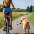 Bicycle-Mounted Dog Lead with Elastic Section – Black