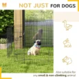 Eight-Panel Metal Dog Playpen with Door – Black