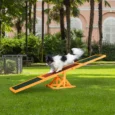 Wooden Dog Agility Seesaw – Natural, Brown and Green