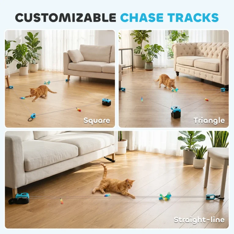 Remote-Control Cat Chase Toy with Adjustable Track – Black