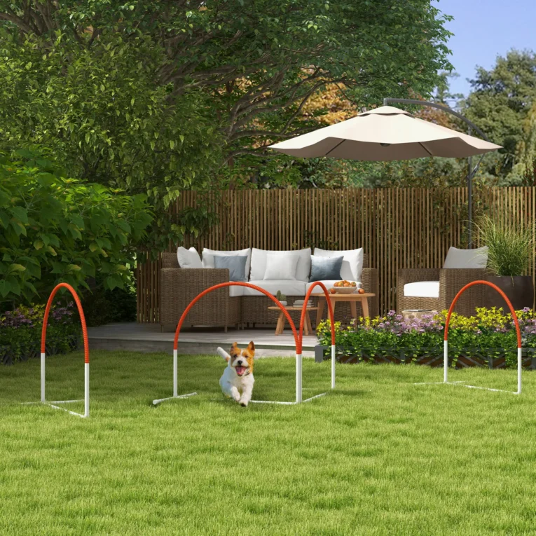 Four-Piece Dog Agility Set with Carry Bag – Orange and White