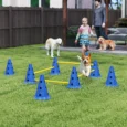 Four-Jump Dog Agility Set with Carry Bag – Blue and Yellow
