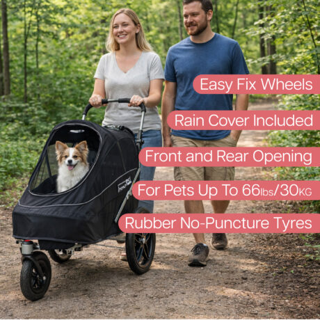 InnoPet Sporty EVR