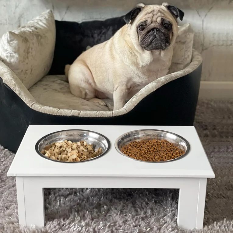 Raised Dog Feeding Bowls Stand Stainless Steel 44x24cm – White Raised Dog Feeding Bowls Stand Stainless Steel 44x24cm – White