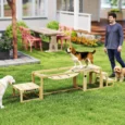 Three-Piece Wooden Dog Agility Set with Bridge and Steps