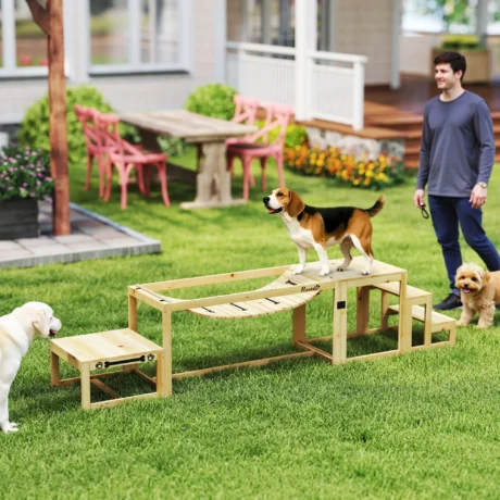 Three-Piece Wooden Dog Agility Set with Bridge and Steps &ndash; detail 2