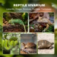 Reptile Glass Terrarium Stone Background 30cm – Black