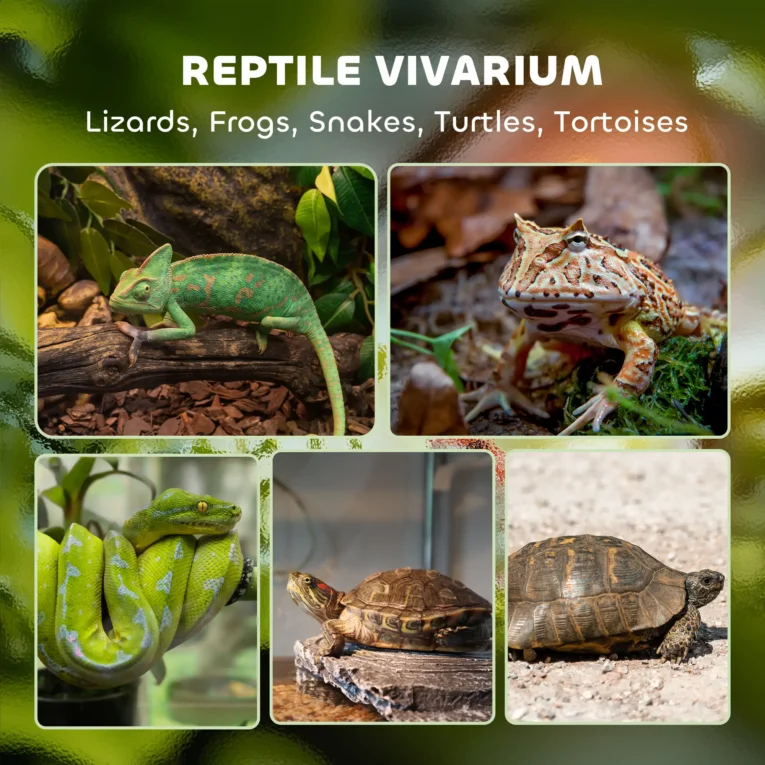 Reptile Glass Terrarium Stone Background 30cm – Black