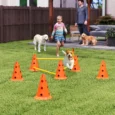 Three-Jump Dog Agility Set with Carry Bag – Orange and Yellow