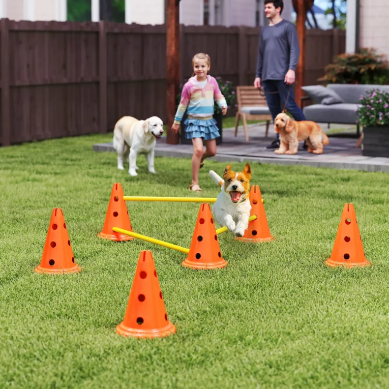 Three-Jump Dog Agility Set with Carry Bag – Orange and Yellow Three-Jump Dog Agility Set with Carry Bag – Orange and Yellow