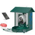 Smart Bird Feeder with 2K Camera and Solar Panel – Dark Green