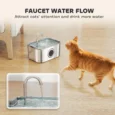 Stainless Steel Cat Drinking Fountain with Level Window – 3.2L