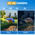 Smart Bird Feeder with 2K Camera and Solar Panel – Dark Green