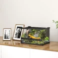 Reptile Glass Terrarium with Lock 30x20x20cm – Black