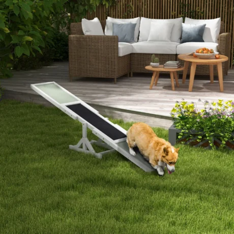 Wooden Dog Agility Seesaw – White, 180cm