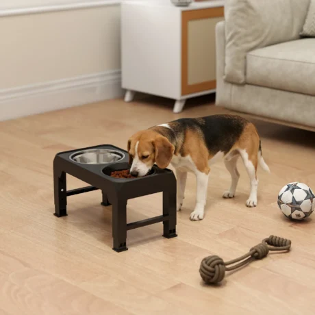 Adjustable Raised Dog Feeding Station with Slow Bowl – Black