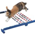 Kerbl Combo Jump Small Animal Agility Set