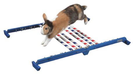 Kerbl Combo Jump Small Animal Agility Set