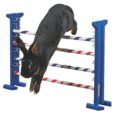 Kerbl Combo Jump Small Animal Agility Set