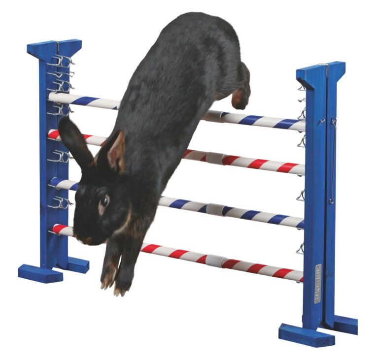Kerbl Combo Jump Small Animal Agility Set Kerbl Combo Jump Small Animal Agility Set