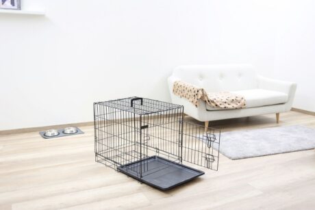 Kerbl Folding Dog Crate – Black, 63 × 48 × 57cm (81364)