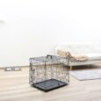 Kerbl Folding Dog Crate – Black, 63 × 48 × 57cm (81364)