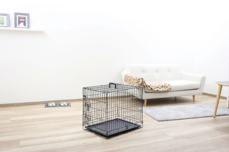 Kerbl Folding Dog Crate – Black, 63 × 48 × 57cm (81364) Kerbl Folding Dog Crate – Black, 63 × 48 × 57cm (81364)