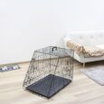 Kerbl Folding Dog Crate – Black, 75 × 52 × 61cm (81367)