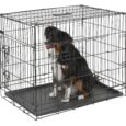 Kerbl Folding Dog Crate – Black, 76 × 54 × 64cm (81365)