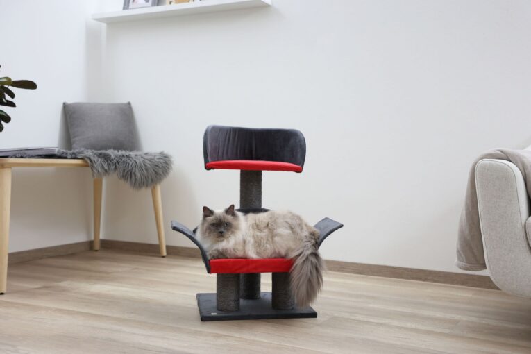 Kerbl Lounge Deluxe Cat Tree – Grey and Red, 70cm